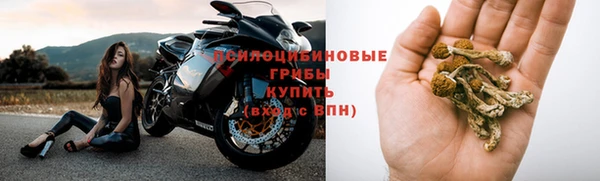 ALPHA PVP Аркадак