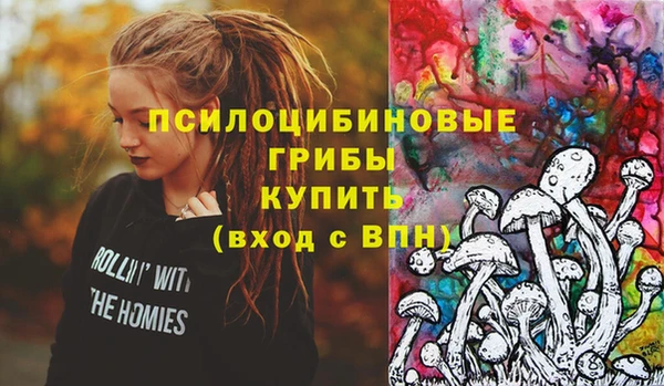 прущая мука Арсеньев
