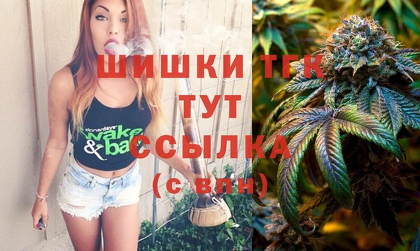прущая мука Арсеньев