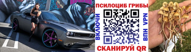 Галлюциногенные грибы Magic Shrooms  как найти закладки  Павловский Посад 